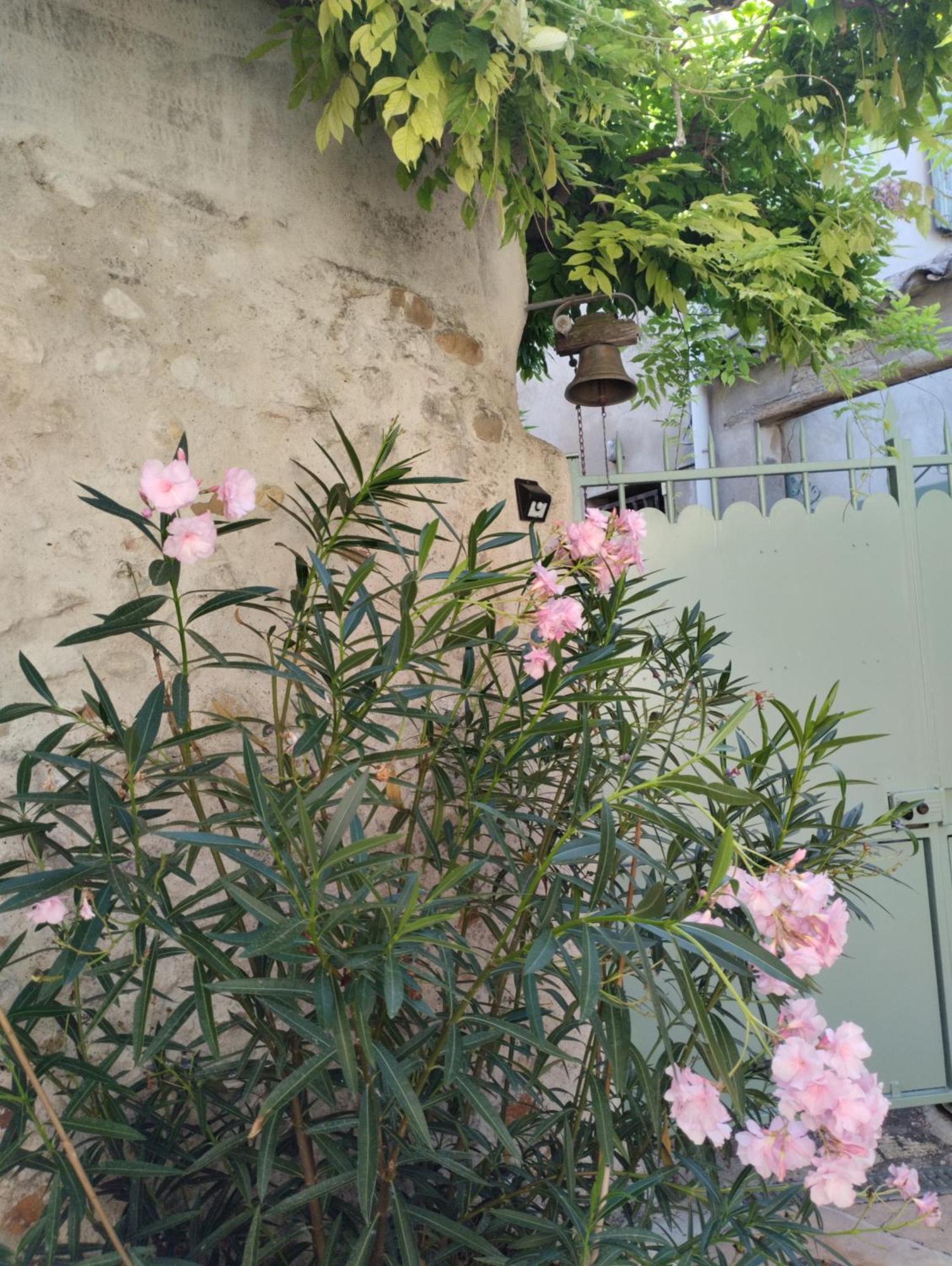 Chez Les Filles Panzió Dions Kültér fotó